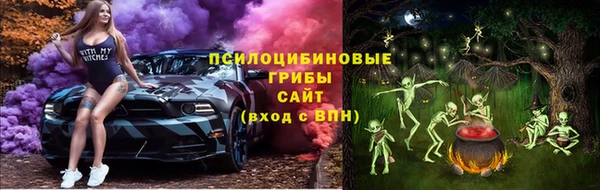 прущие крисы Верхний Тагил